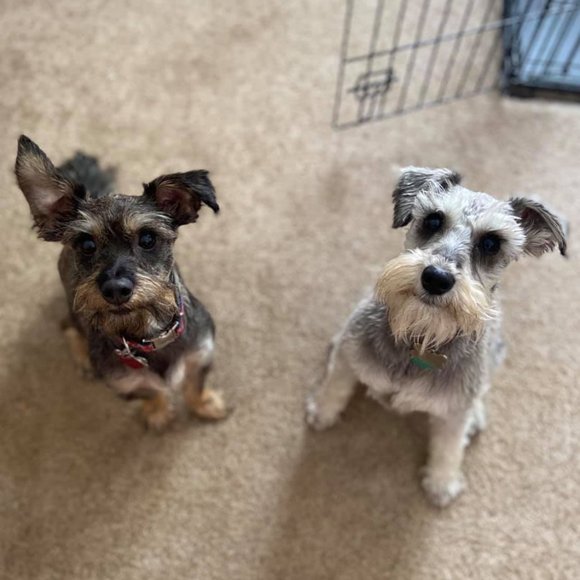 MEET YOUR POSHER - Picture 3 of 8